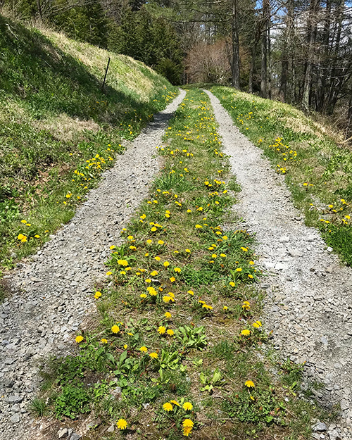 f:id:sunsun_fine:20190514214725j:plain