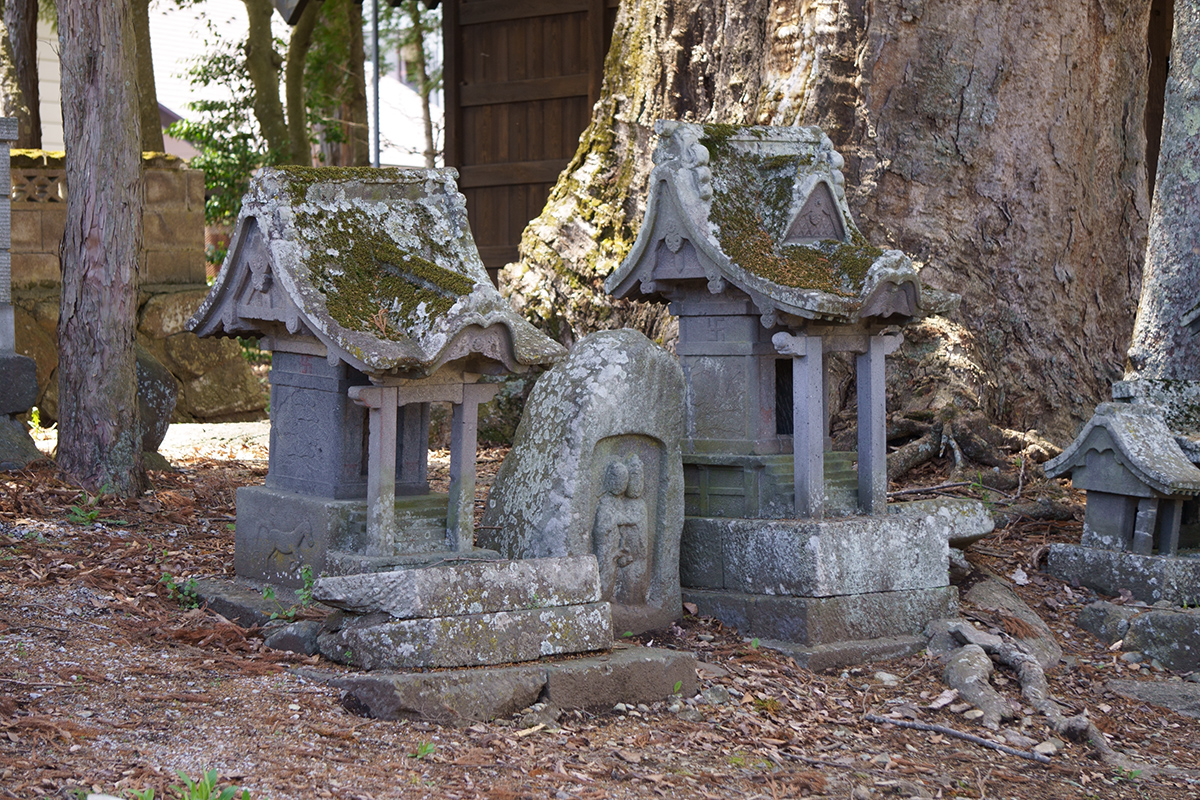 f:id:sunsun_fine:20190514224640j:plain