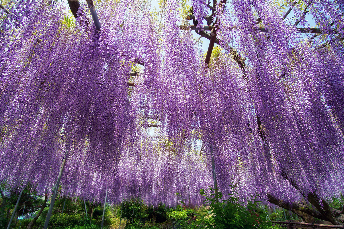 f:id:sunsun_fine:20190525135930j:plain f:id:sunsun_fine:20190525135930j:plain