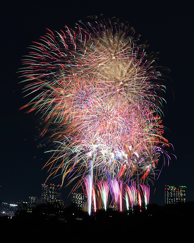 f:id:sunsun_fine:20190529220526j:plain