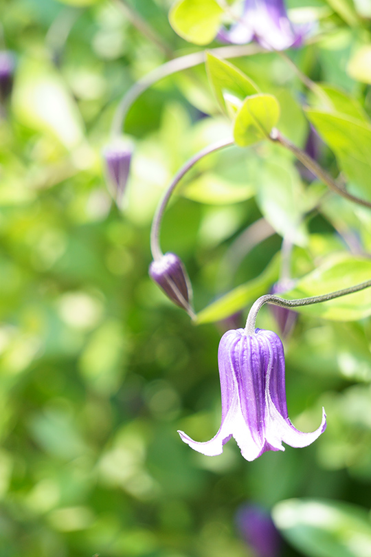 f:id:sunsun_fine:20190603221602j:plain f:id:sunsun_fine:20190603221602j:plain