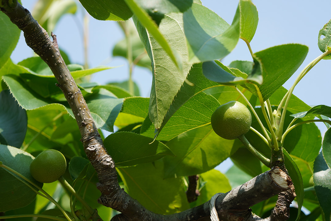 f:id:sunsun_fine:20190603225414j:plain f:id:sunsun_fine:20190603225414j:plain