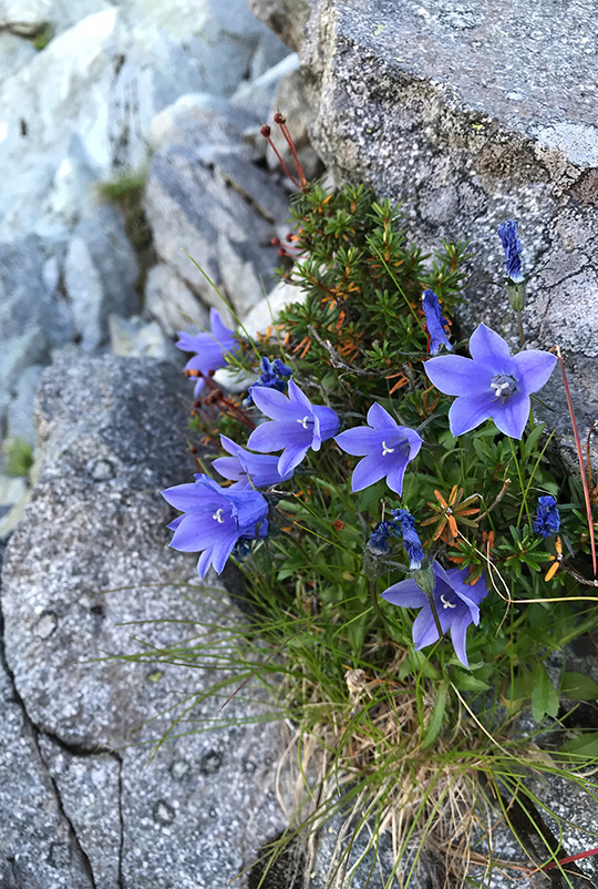 f:id:sunsun_fine:20190607112116j:plain