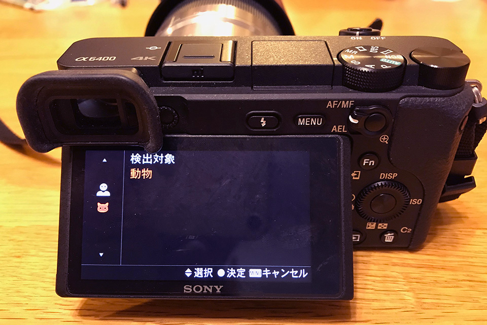 f:id:sunsun_fine:20190617234517j:plain