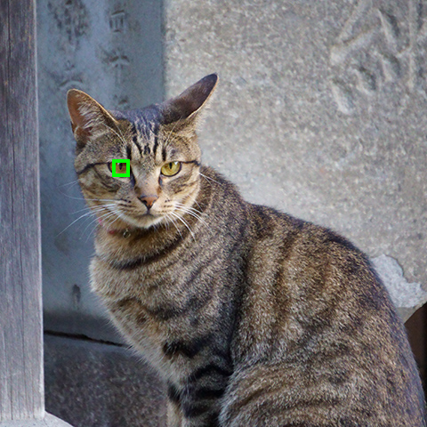 f:id:sunsun_fine:20190618003101j:plain