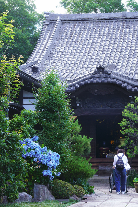 f:id:sunsun_fine:20190618215440j:plain