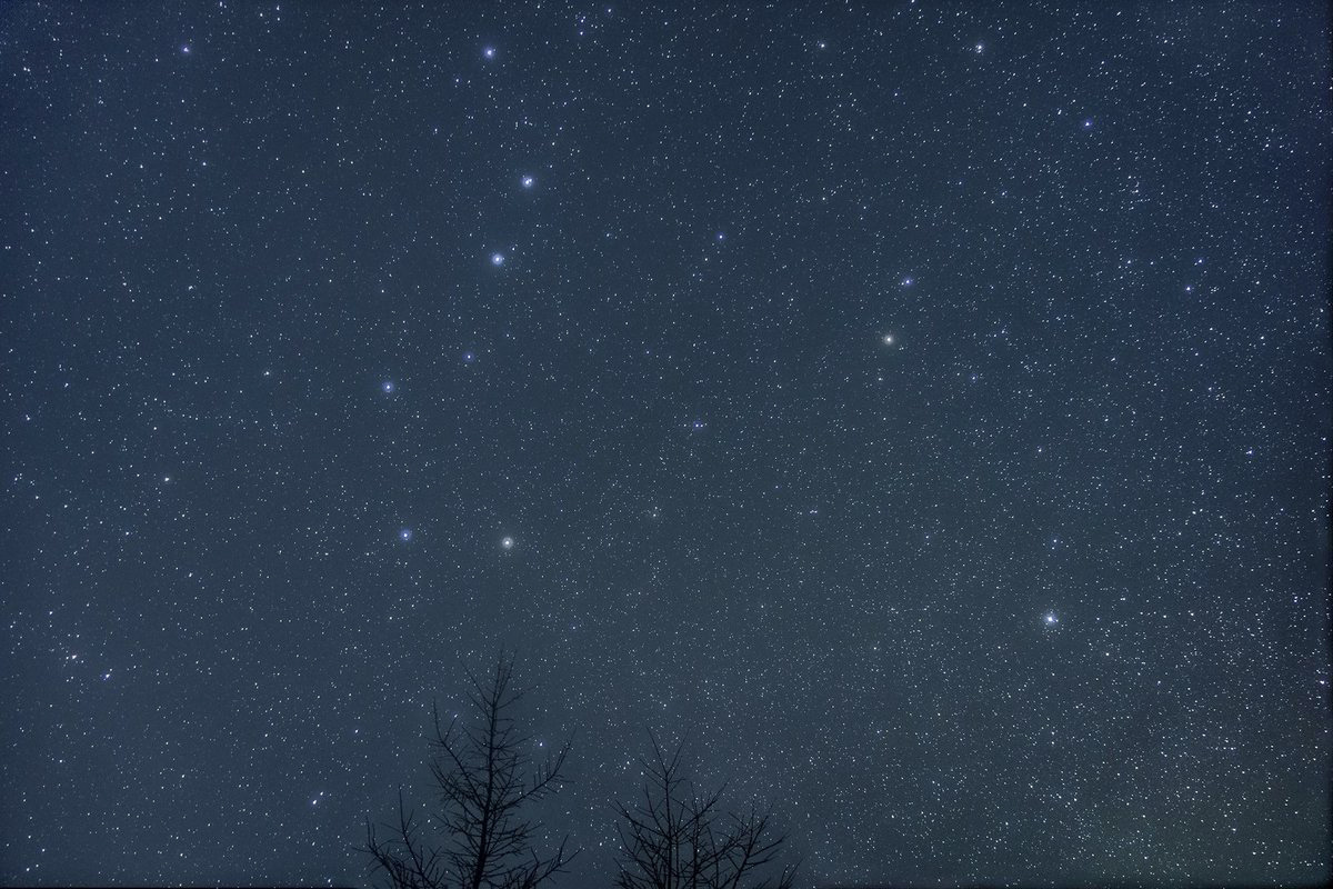 f:id:sunsun_fine:20190619180108j:plain f:id:sunsun_fine:20190619180108j:plain