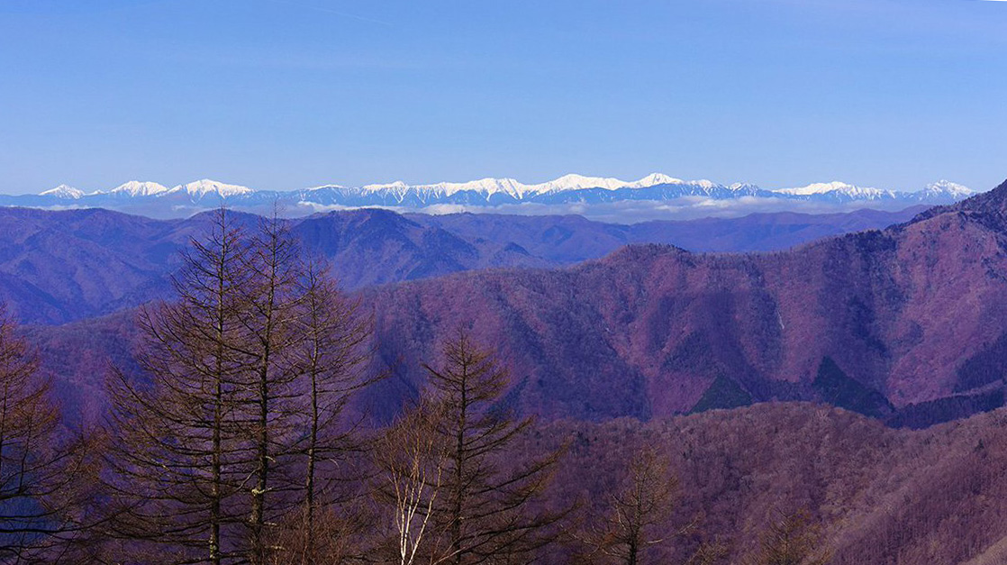 f:id:sunsun_fine:20190620011940j:plain f:id:sunsun_fine:20190620011940j:plain