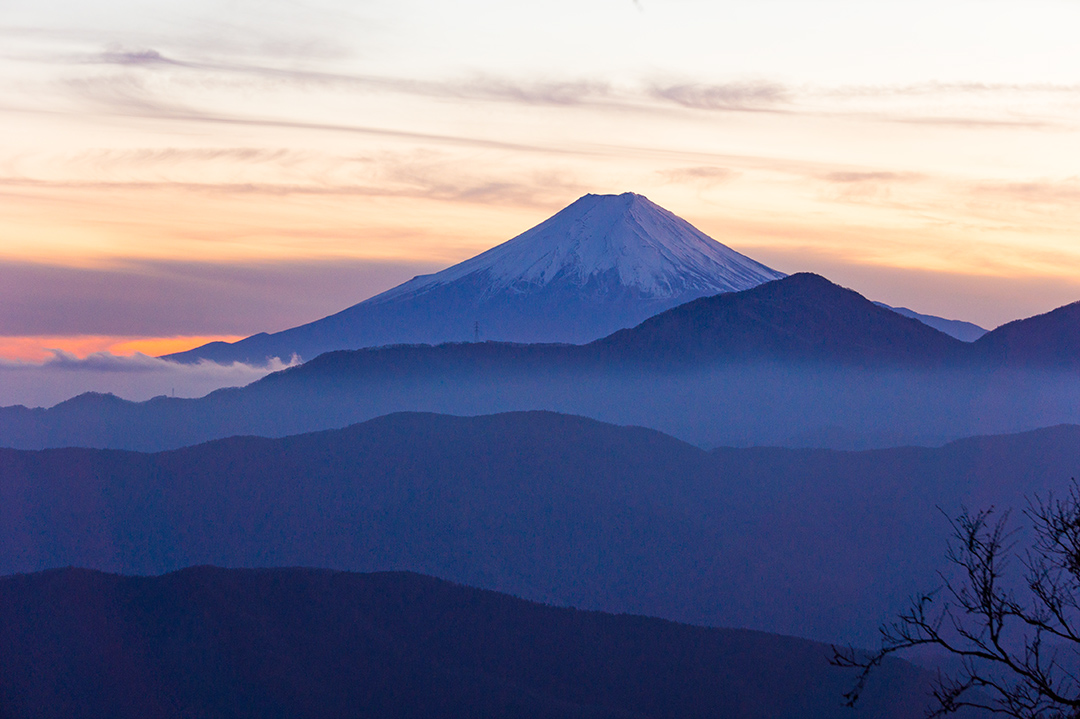 f:id:sunsun_fine:20190620231617j:plain f:id:sunsun_fine:20190620231617j:plain