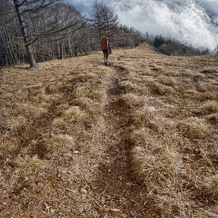 f:id:sunsun_fine:20190622173835j:plain