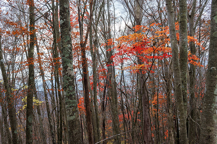 f:id:sunsun_fine:20190622231459j:plain