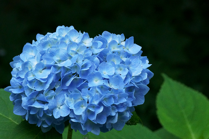 f:id:sunsun_fine:20190625011631j:plain