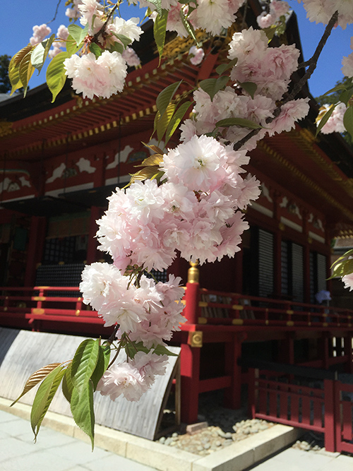 f:id:sunsun_fine:20190720144928j:plain