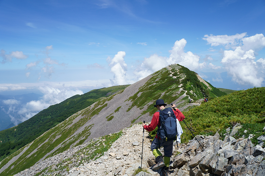 f:id:sunsun_fine:20190816140947j:plain f:id:sunsun_fine:20190816140947j:plain