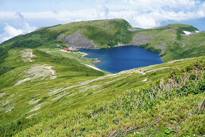 f:id:sunsun_fine:20190816141524j:plain f:id:sunsun_fine:20190816141524j:plain