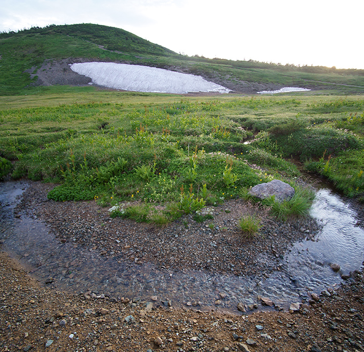 f:id:sunsun_fine:20190816163814j:plain f:id:sunsun_fine:20190816163814j:plain