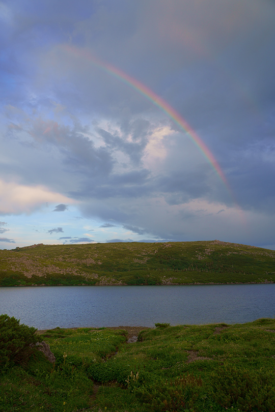 f:id:sunsun_fine:20190816174552j:plain f:id:sunsun_fine:20190816174552j:plain