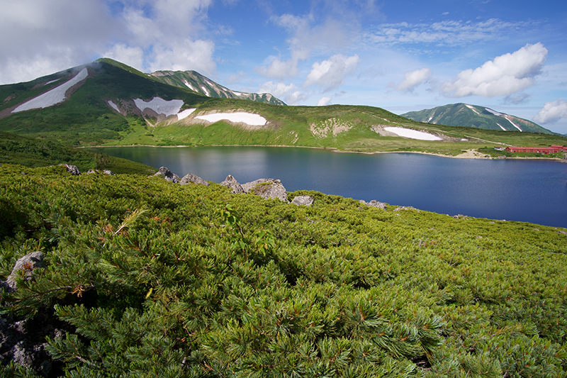 f:id:sunsun_fine:20190818225517j:plain