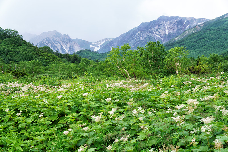 f:id:sunsun_fine:20190819003934j:plain