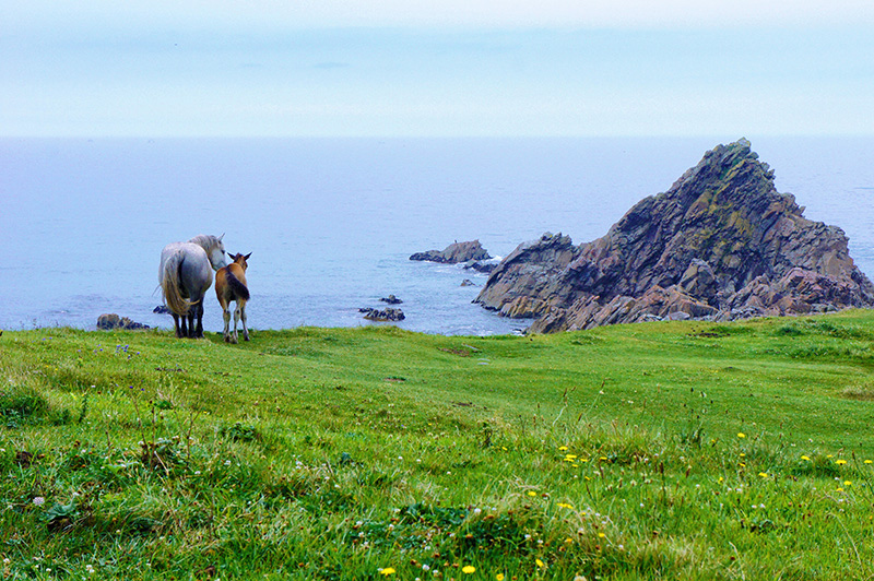 f:id:sunsun_fine:20190828162837j:plain f:id:sunsun_fine:20190828162837j:plain