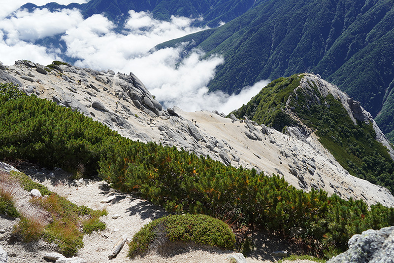 f:id:sunsun_fine:20190913170003j:plain