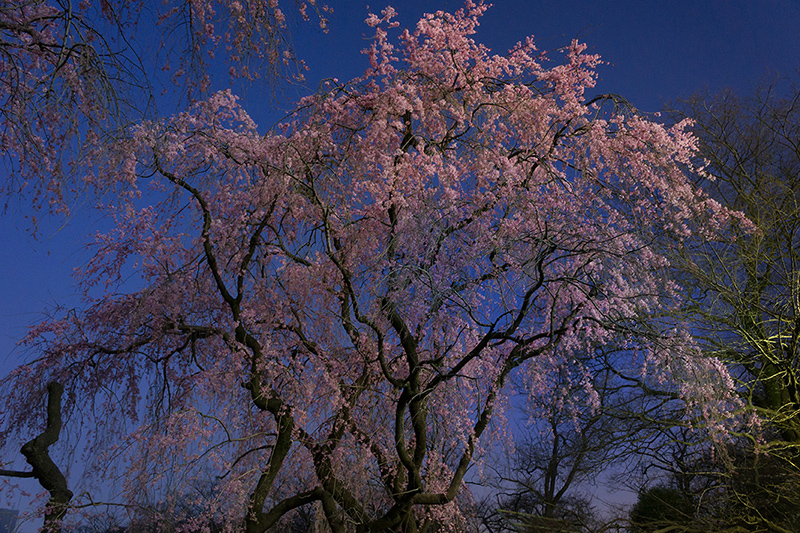 f:id:sunsun_fine:20191005115942j:plain