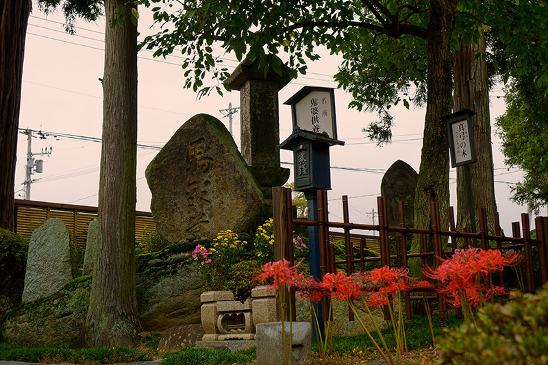 f:id:sunsun_fine:20191010123743j:plain 二本松・鬼婆を祀った観世寺