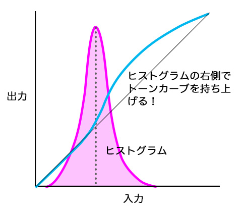 f:id:sunsun_fine:20191122004023j:plain トーンカーブの基本パターン