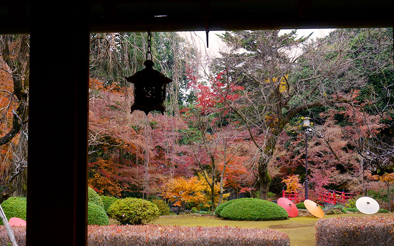 f:id:sunsun_fine:20191219192236j:plain 喜多院の廊下から見た庭園と和傘