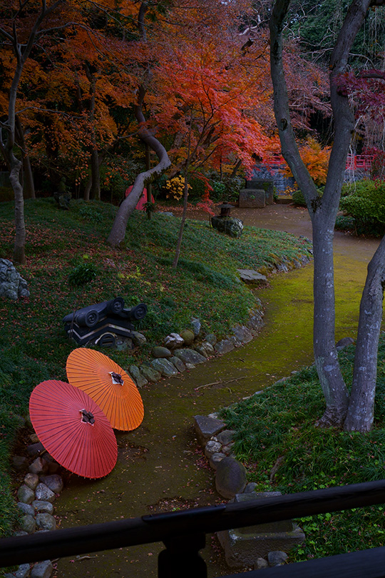 f:id:sunsun_fine:20191219192311j:plain 和傘と紅葉の庭・喜多院にて