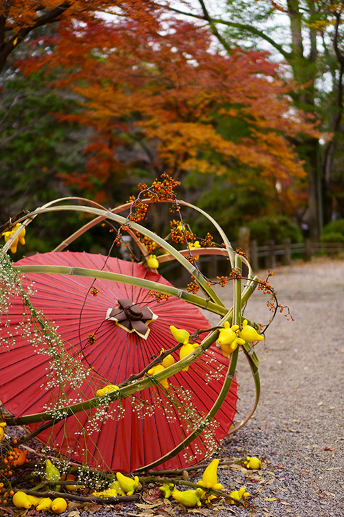 f:id:sunsun_fine:20191219235154j:plain 喜多院・慈眼堂前に置かれた和傘