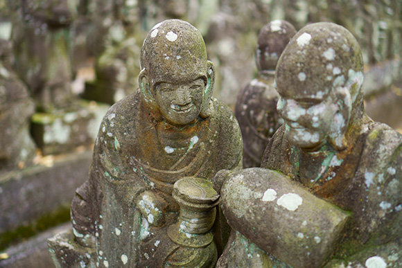 五百羅漢「まあ一杯」