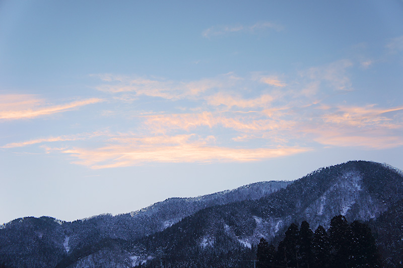 里山の冬