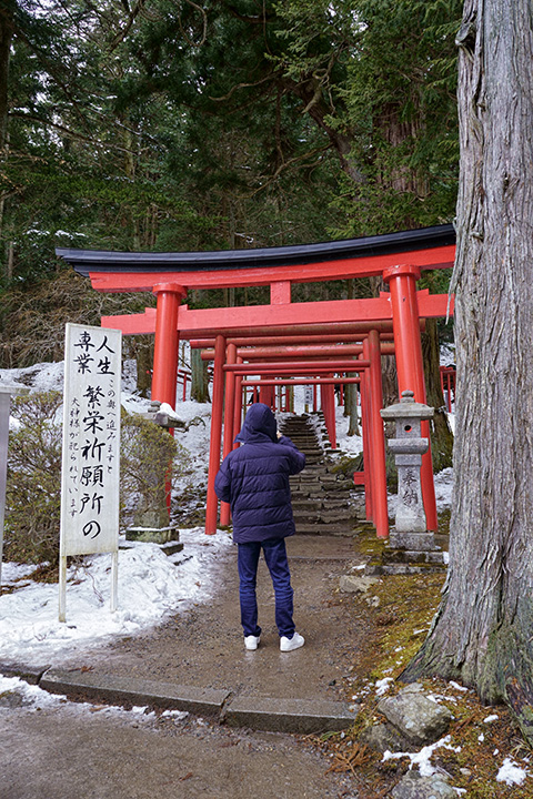 鳥居の列