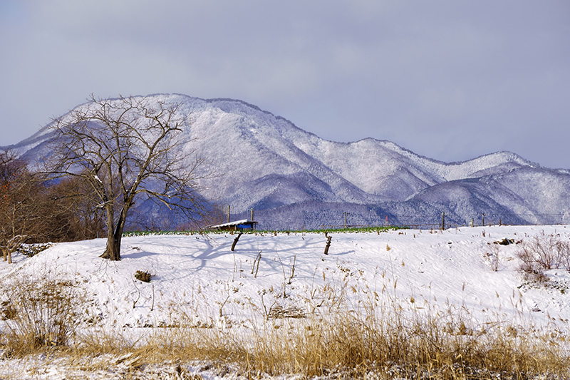 紫波町から見た東根山