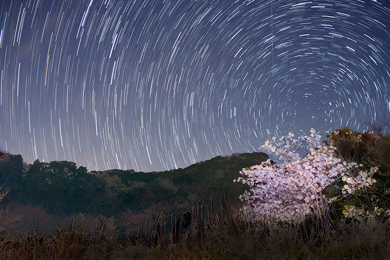 北天の日周運動