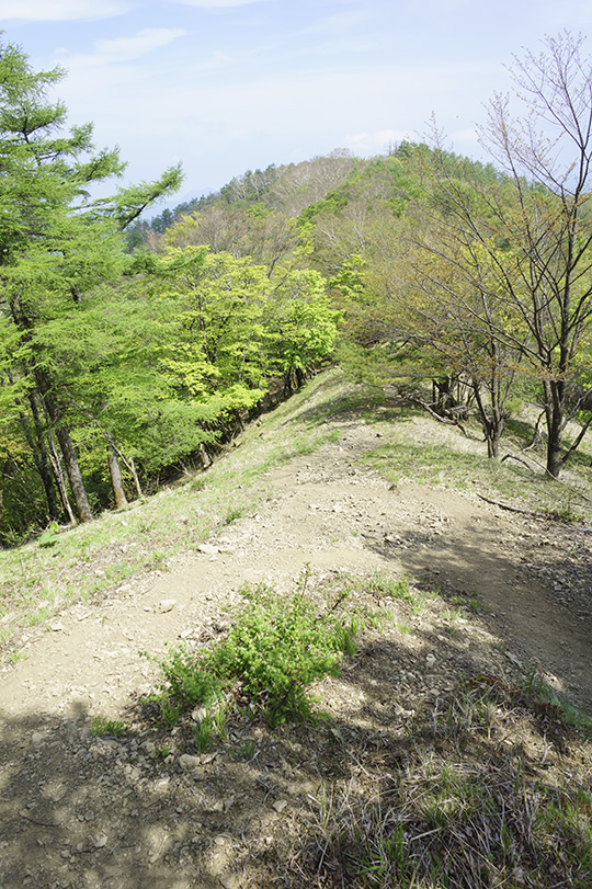 六ツ石山