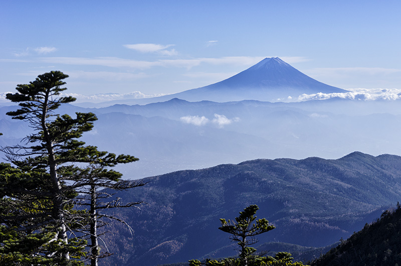 国師ヶ岳から富士山