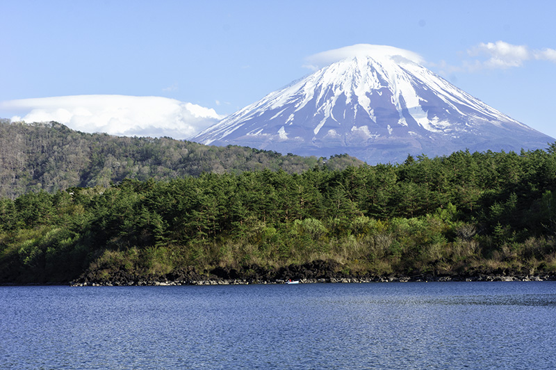 西湖から富士山