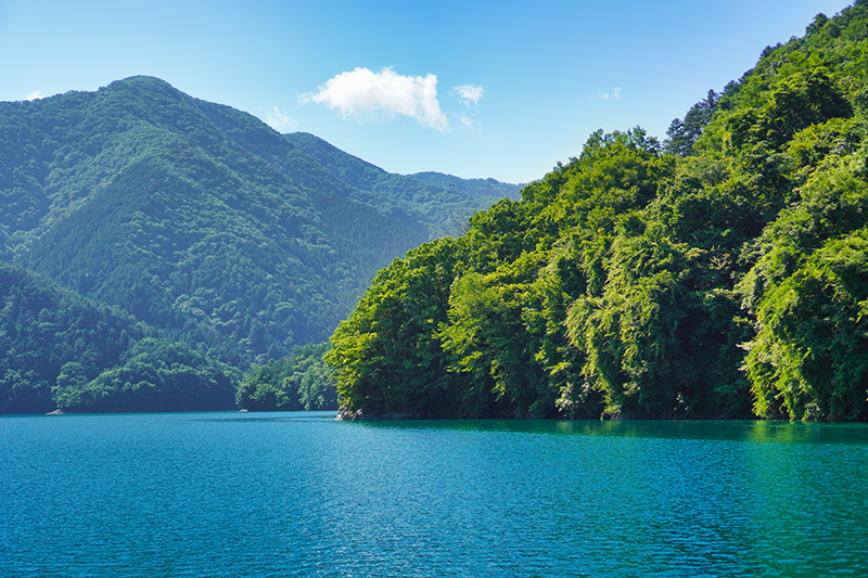 麦山浮橋の途中から