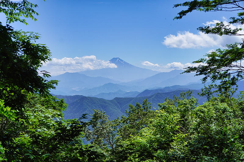 三頭山西峰から富士山