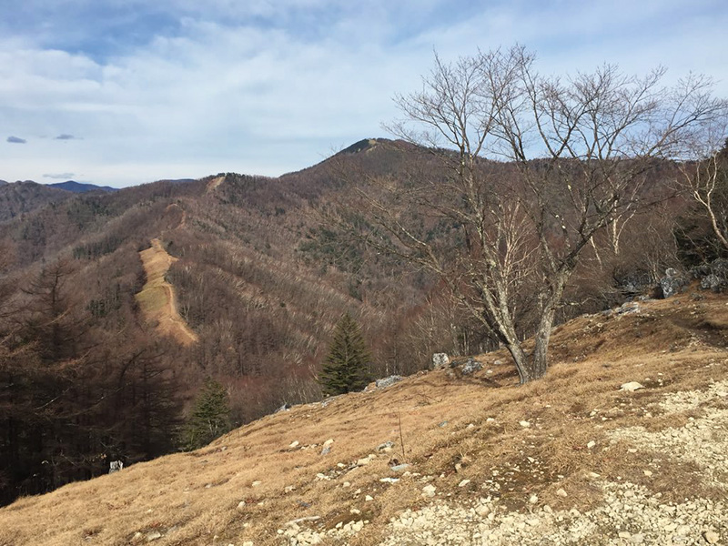 七ツ石山から雲取山