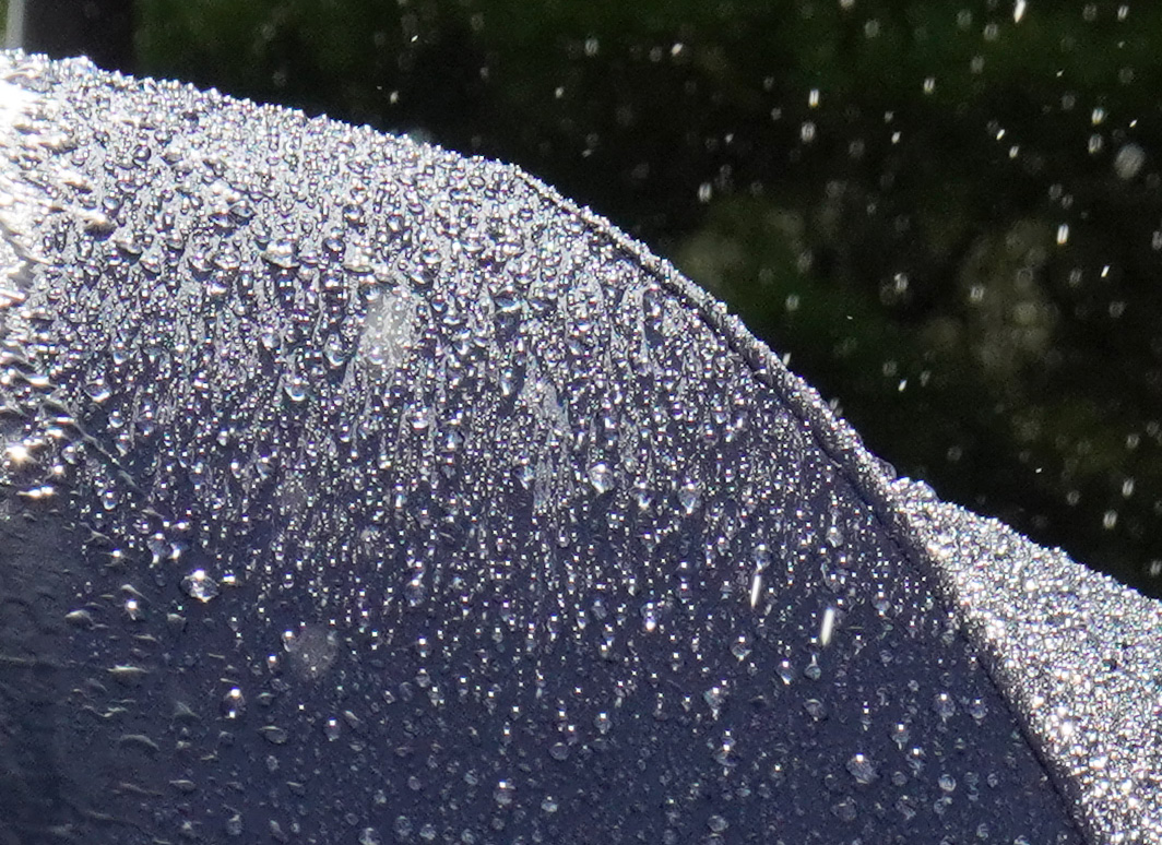 雨の雫