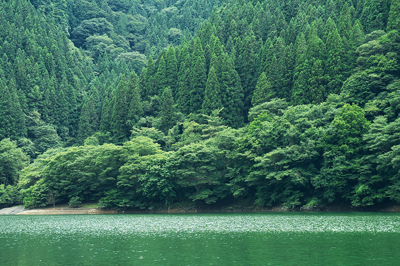 奥多摩湖