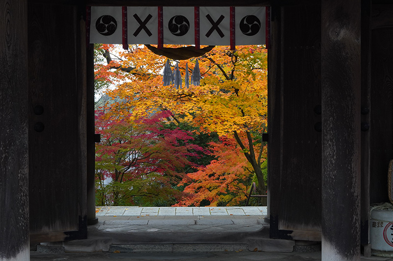 門の向こうに紅葉