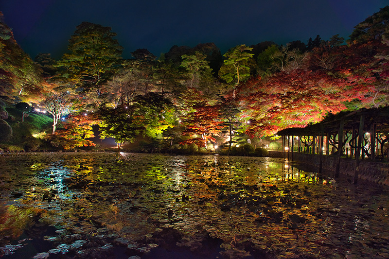 夜の霞ヶ池