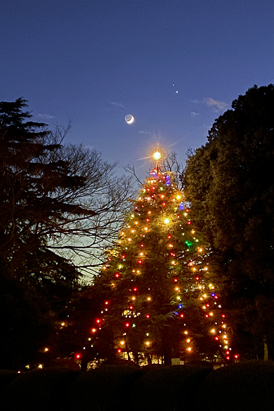 クリスマスツリーと三日月と木星，土星