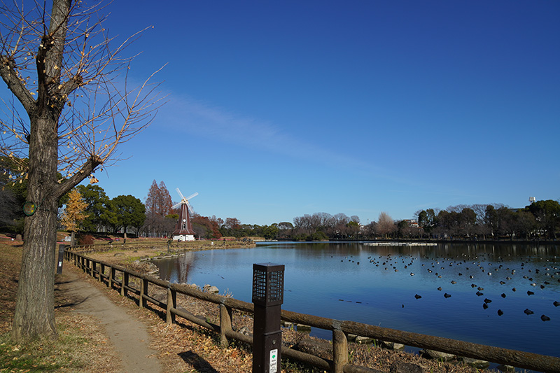 浮間公園