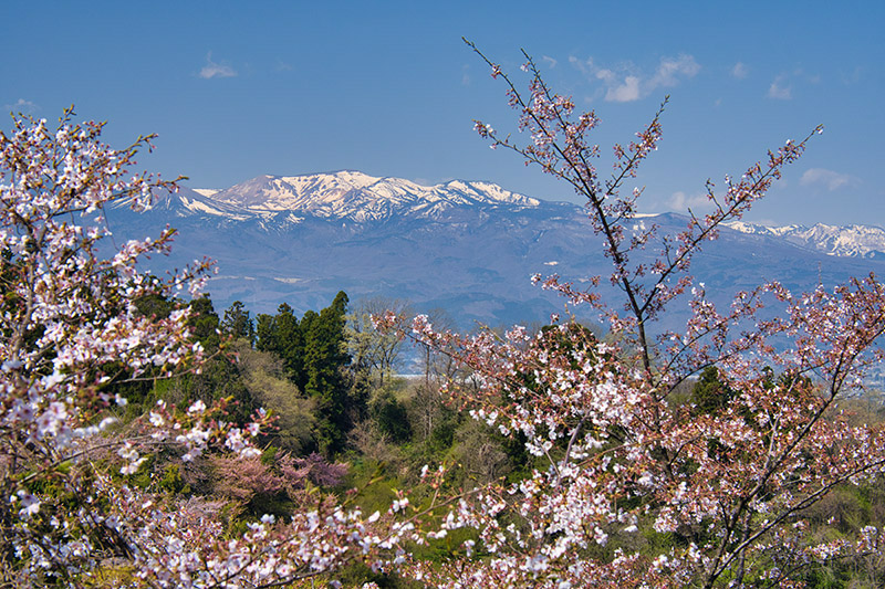 花見山から吾妻連峰