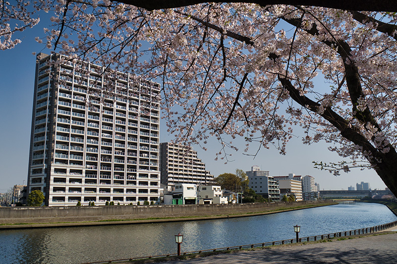 プチウォーターフロント